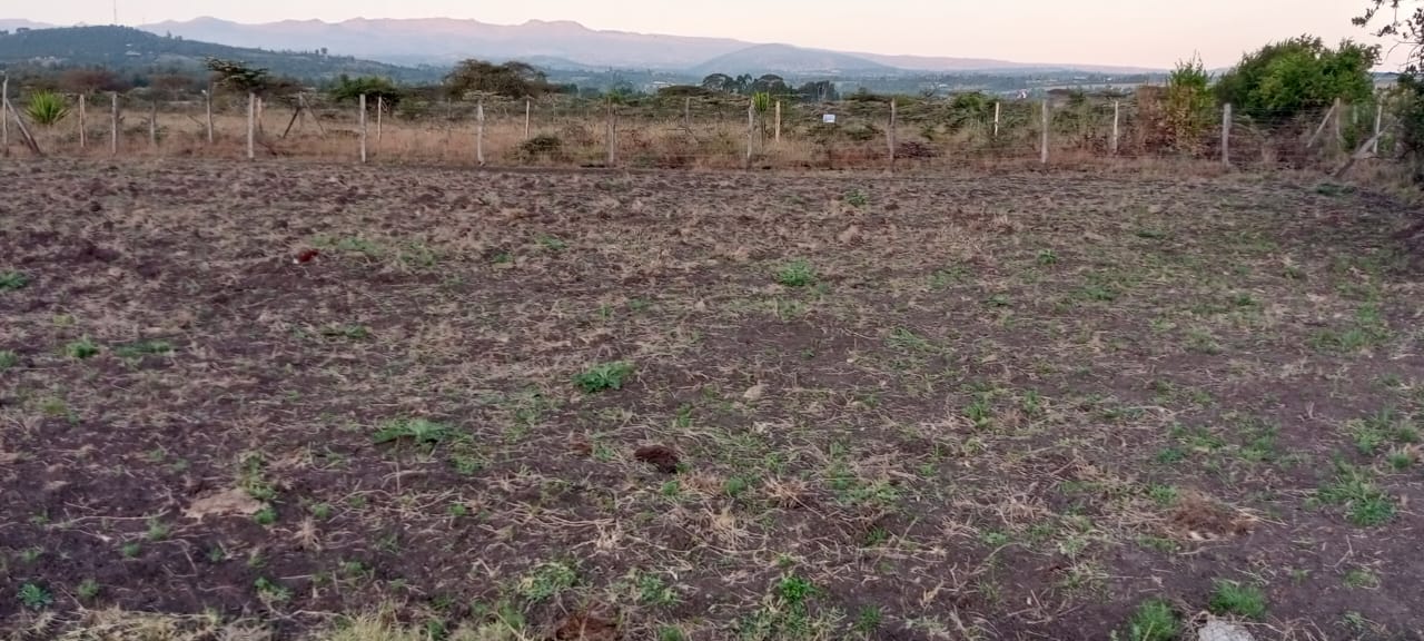 plots for sale Mweiga Nyeri – 50x100 plot view
